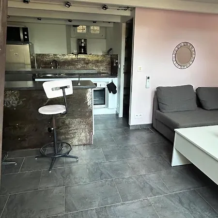 En Duplex Avec Jardin A 5 Min De La