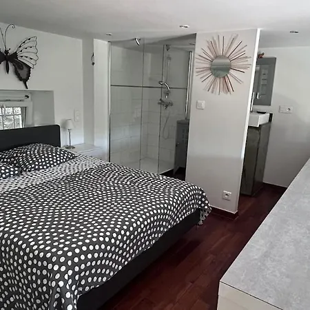En Duplex Avec Jardin A 5 Min De La